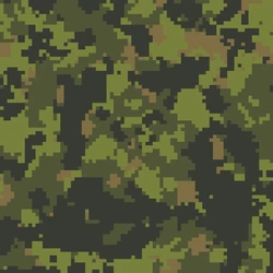 Camo 1