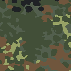 Camo 3