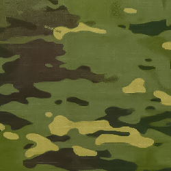 Camo 2