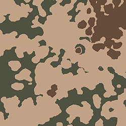 Camo 5