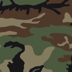 Camo 2